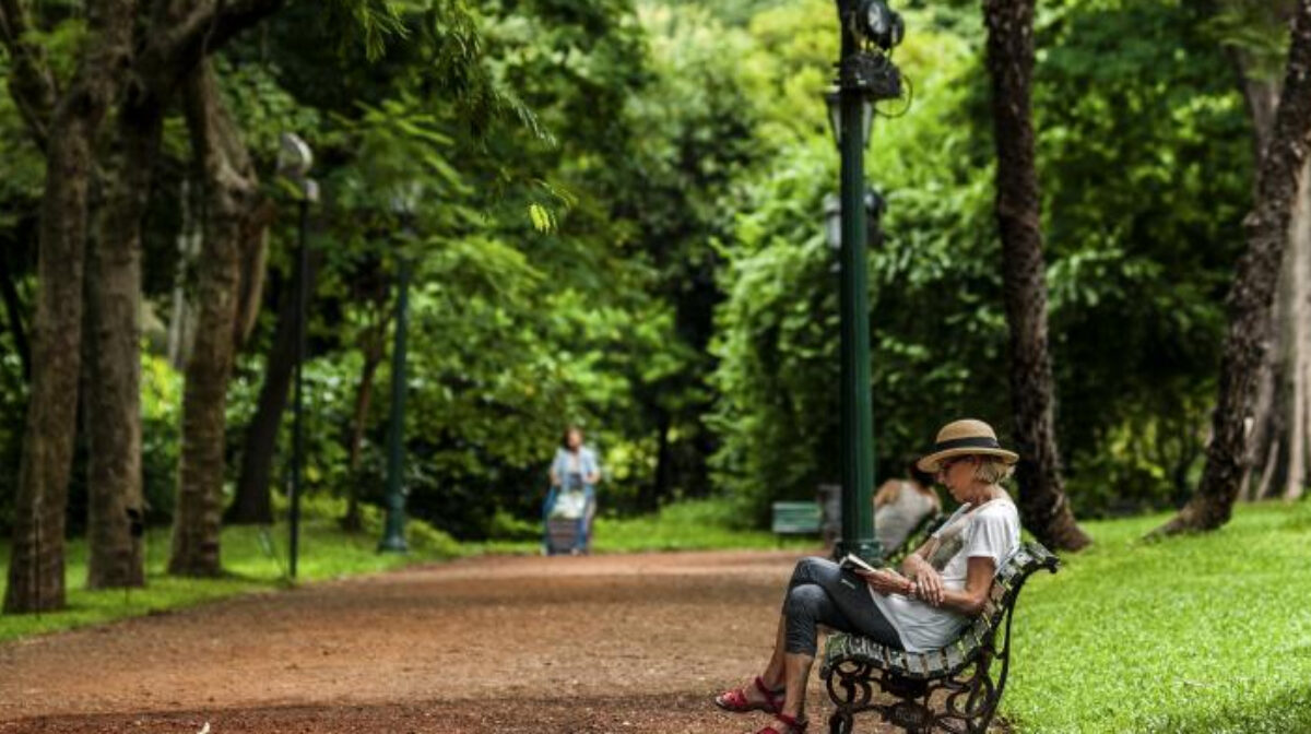 Jardín Botánico “Refugio climático”