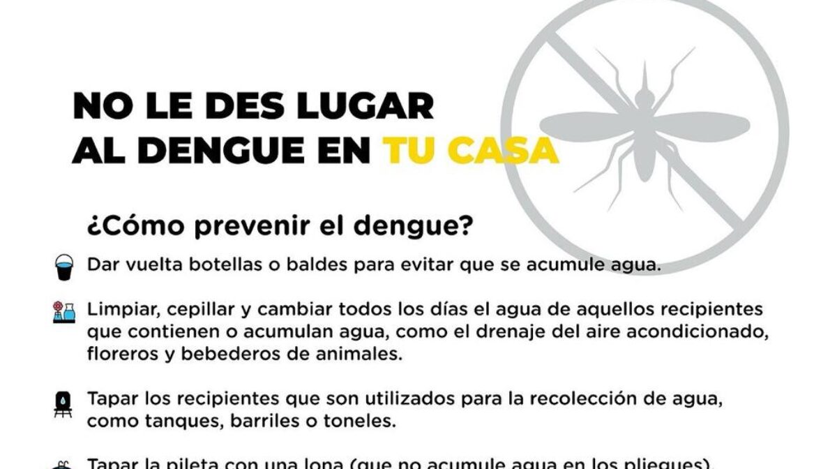 El Dengue sigue en la Ciudad