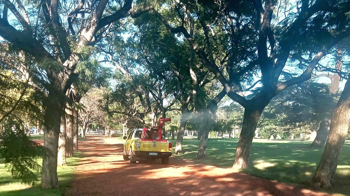 Operativos de desinsectización en parques y plazas