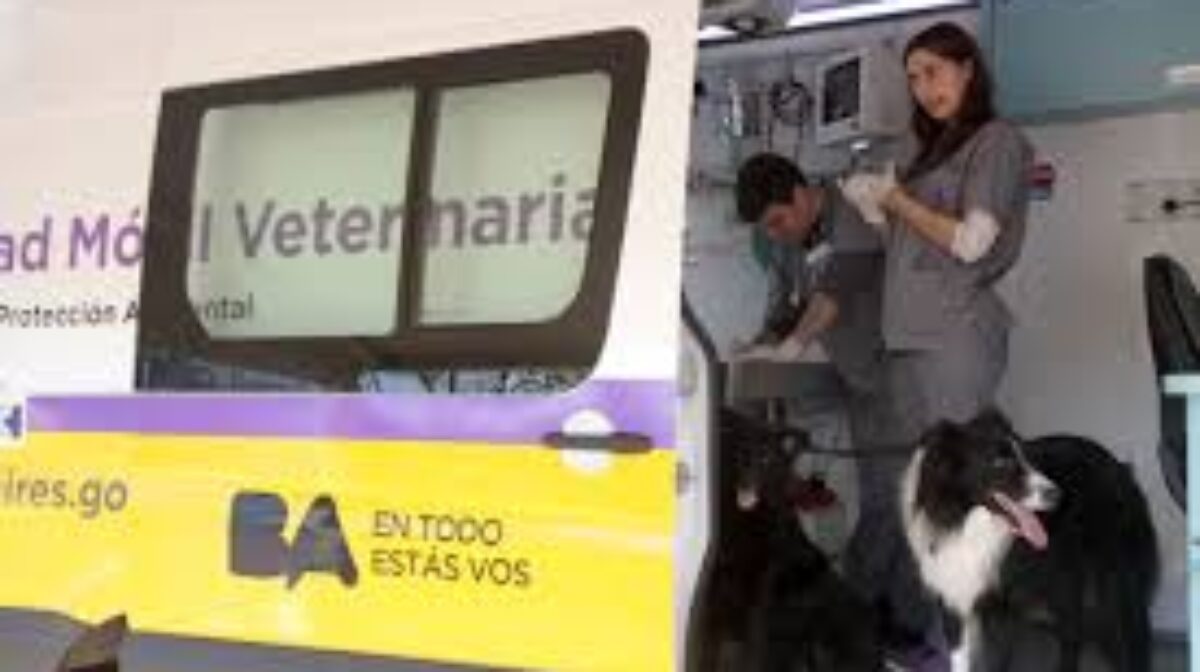 Atención veterinaria y castraciones gratuitas