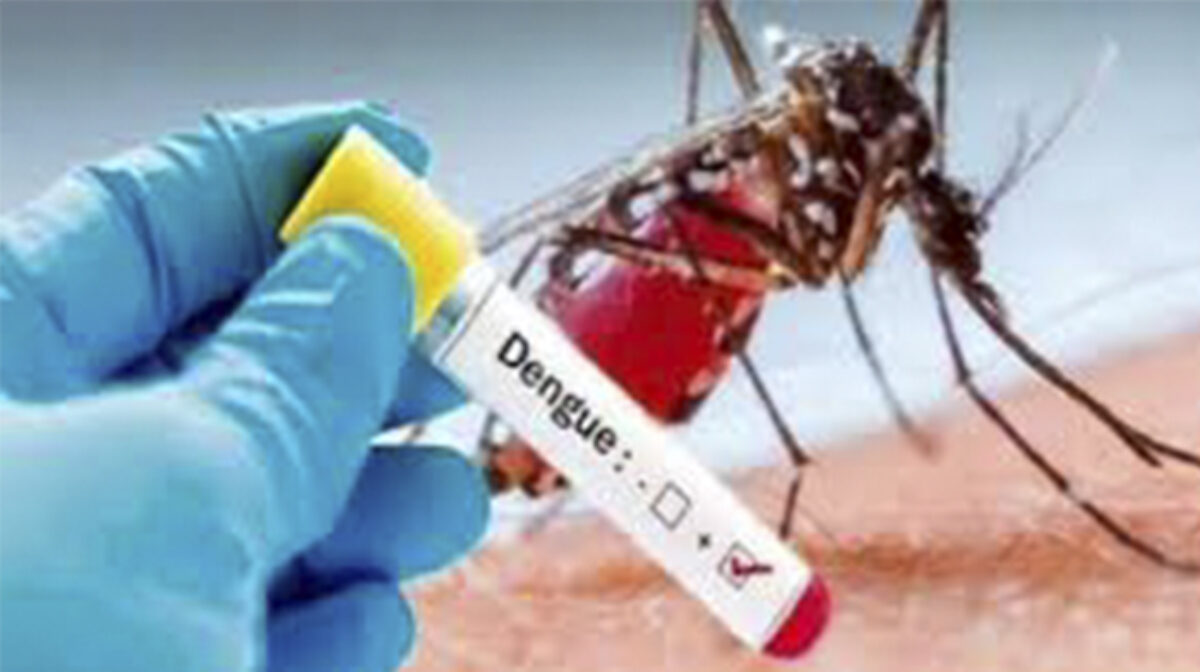 Vacunación contra Dengue