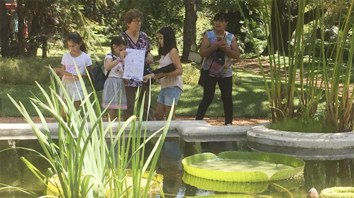 Actividades de verano en el Jardín Botánico