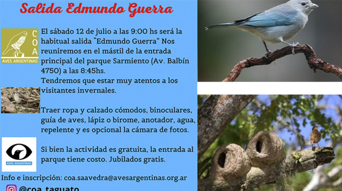Parque Sarmiento – Avistaje de Aves «Edmundo Guerra»