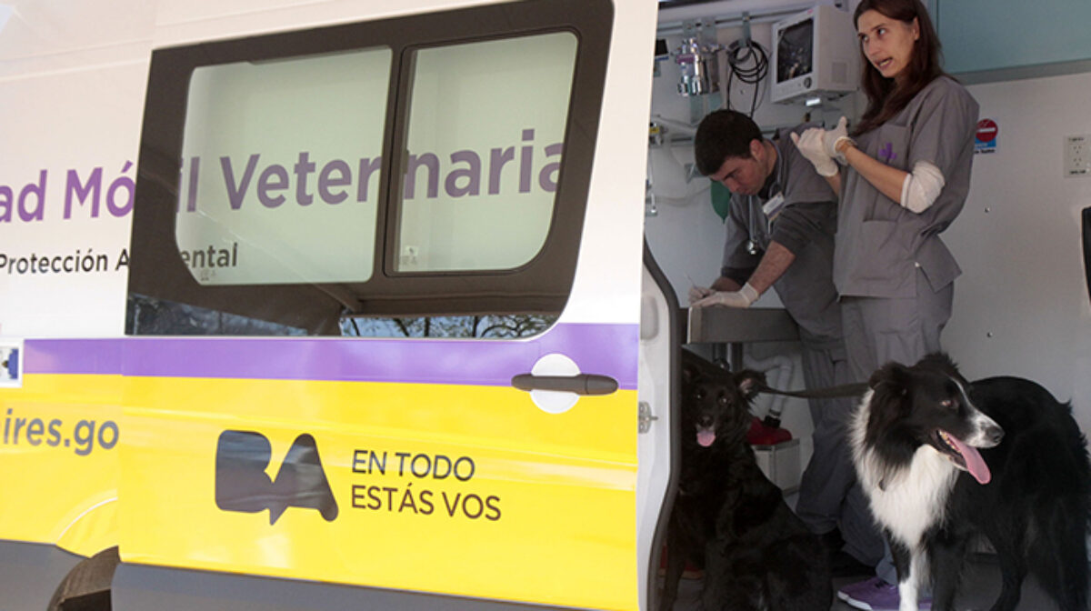 Atenciones Veterinarias en CABA