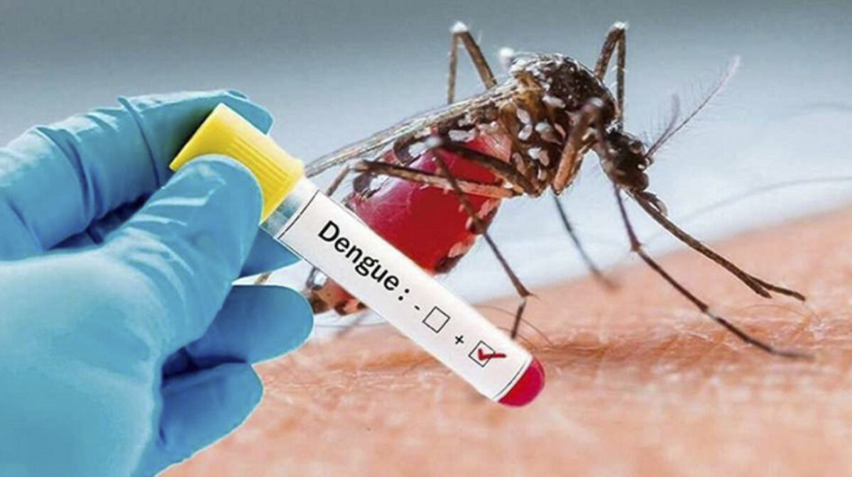 DENGUE Llega el calor y con el calor…
