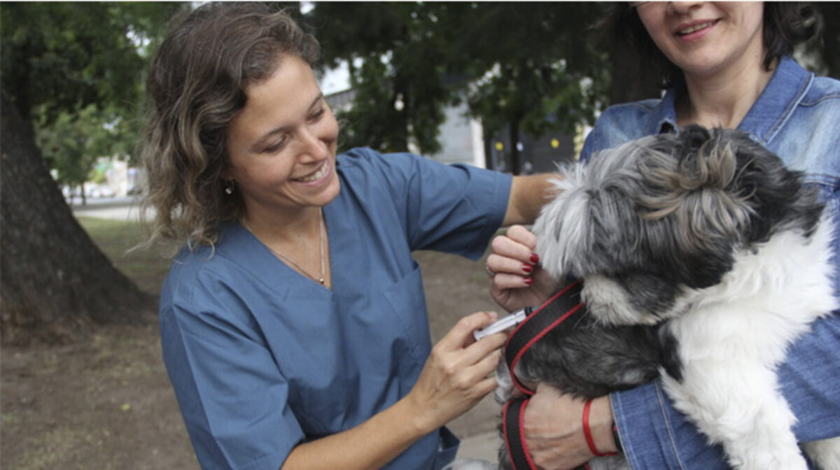 Vacunación Antirrábica en Comuna 12