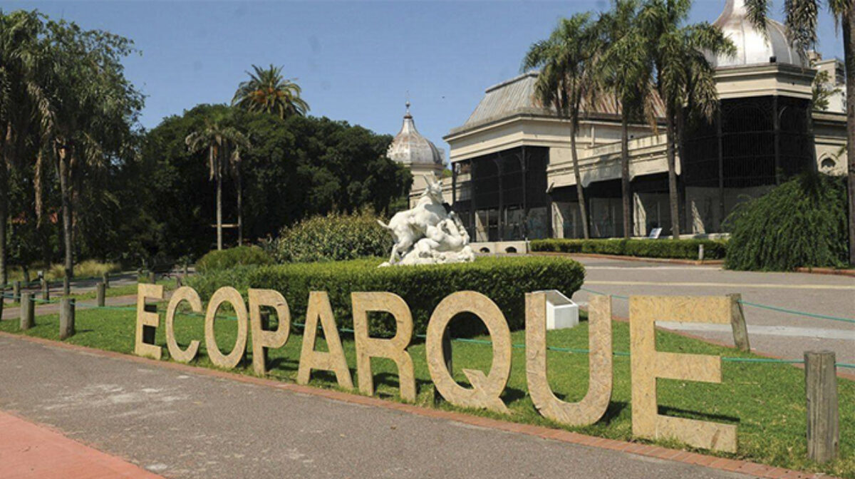 Ecoparque, Arancelado