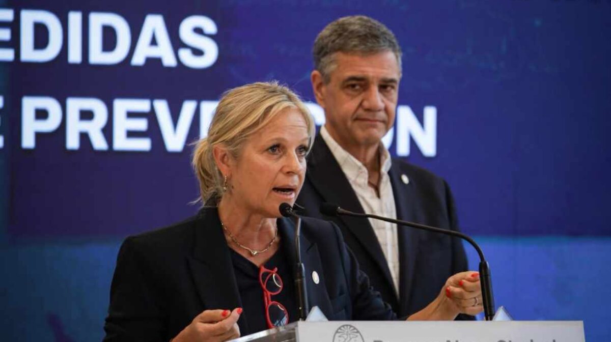 Nuevo Estatuto Docente
