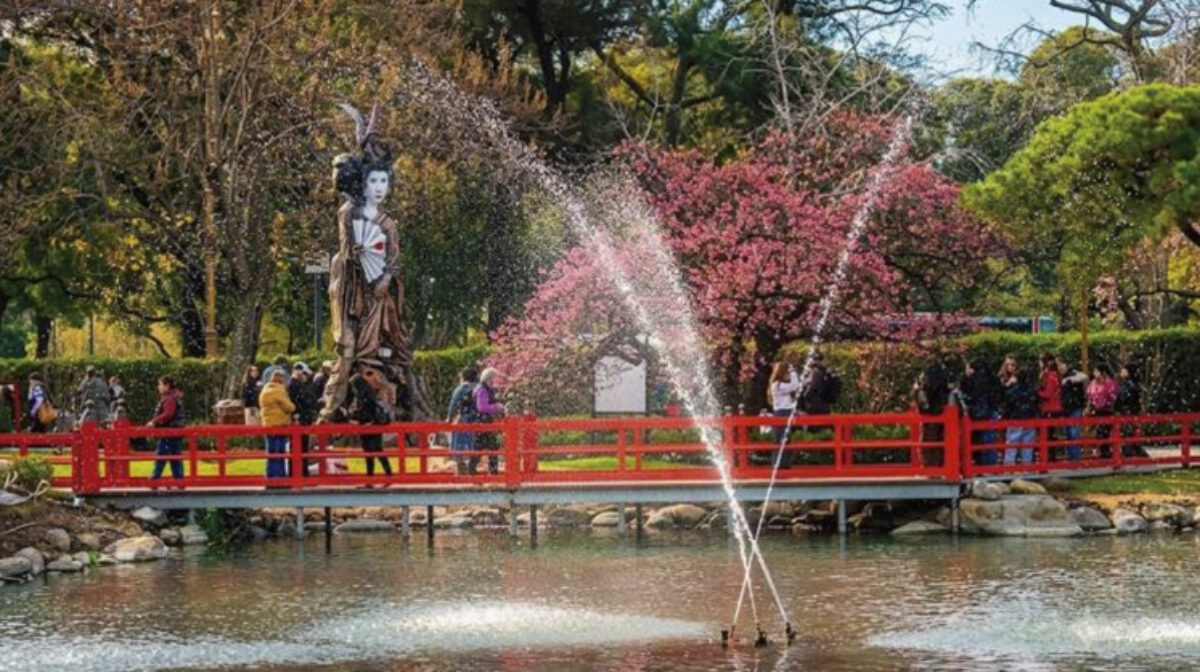 ¡¡Visita al Jardín Japones – Los sakuras están en flor!!