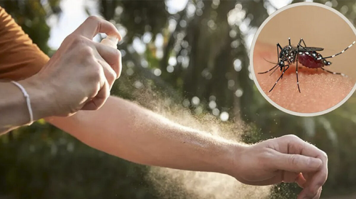 Campaña contra el Dengue